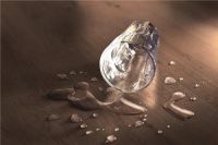 得高WISE软木地板，缔造美好家居生活