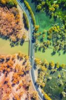 入冬在即，让西奥多·亚历山大帮你留住这些秋色记忆