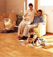 孟冬小雪，软木暖柔