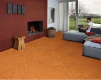 孟冬小雪，软木暖柔