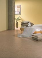 孟冬小雪，软木暖柔