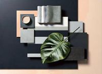 【新浪精选】：玉兰—《林之舞》