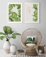 【新浪精选】：玉兰—《林之舞》