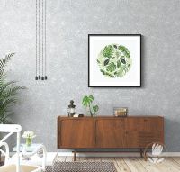 【新浪精选】：玉兰—《林之舞》