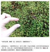 设计师王云：桃源何处贝聿铭