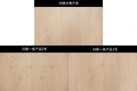 《中国家庭擦地需求与专用擦地机器人技术趋势》白皮书