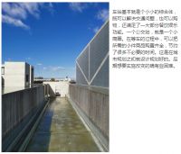 设计师常青：见微知著，于细节与秩序中感悟日本