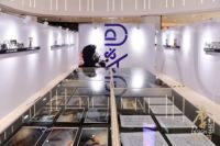 意大利设计的魅力，Oltresalone 2019盛大举办