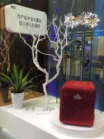 HCK哈士奇：对接资本市场 玩转“颜值经济”