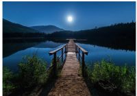 防腐木在园林建设中的应用