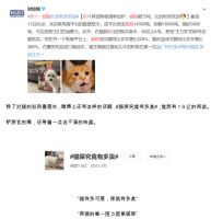 铲屎官们看过来，教你用一台浴霸哄主子开心