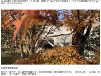 设计师何俊臣：让城市建筑和室内空间设计与自然共生！