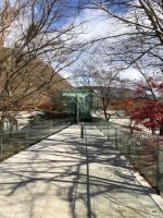 设计师孙明星：不断淬炼自己的内心世界