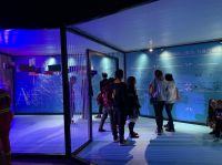 321国际设计师节•佛山，以数字世界为根基，构建设计世界