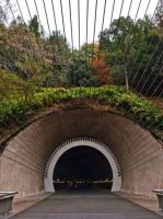 设计师龚芍芍：建筑与自然的和谐共生