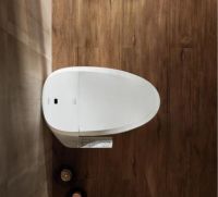 引领卫浴风尚，箭牌马桶带来高质量生活尊享