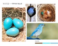 【YASLAN】惊艳时光的蒂芙尼蓝 畅游蔚蓝灵感海洋