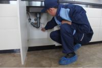 沁园再获行业金奖 常胜秘诀全面解读