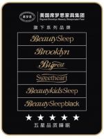 美国席梦思BIGREST荣获2019广州设计周推荐品牌大奖