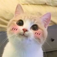 好物+100 | 所有女生，稳稳的幸福来咯！