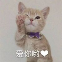 好物+100 | 所有女生，稳稳的幸福来咯！