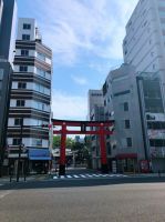 设计师赵旭：自然 融合 —日本游学有感