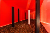 引发围观？限流开放？这个展位凭什么这么抢眼？