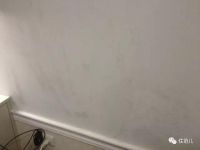 室内墙壁总是反复地发霉 重刷也是治标不治本！