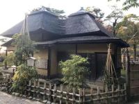 设计师杨艳艳 | 设计，与自然相融