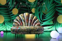 帝标家居雷驰：突破传统模式，致力未来发展