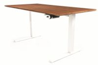 一个高效率的企业，究竟需要具备哪些“特长”