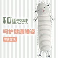 乐瓜睡觉抱枕2周年：呵护健康睡姿 获选“百件生活好物”