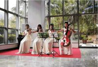 福建地区最大智能影音平台——CAV厦门体验中心