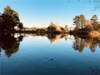 设计师韩荣 | 做一名自然系果实设计者