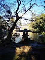 设计师韩荣 | 做一名自然系果实设计者