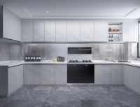 油烟不上脸 帅康自动清洗集成灶荣获家电研究院“好产品”