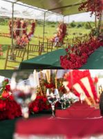 LEGACY IVF塞班分部盛大开业