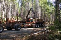 2020莫干山地板即将全新亮相，为健康幸福而战