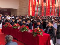 曹县大事，曹县月星家居盛装启幕