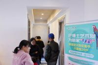 巴德士艺术漆，消费者精装新家的首选品牌