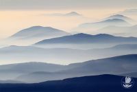 【玉兰】榜单|选墙画这么难，给你个人气指南吧！