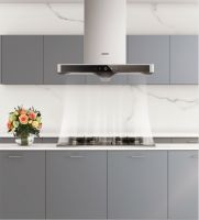 油烟不上脸 帅康健康烹饪空间给你一个清新健康的厨房