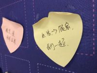 红星美凯龙×顾家丨用三个内容，成就年末营销经典案例