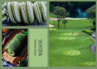 【YASLAN】碧云引风吹不断，白花浮光凝碗面