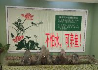 自然帮集成墙面怎么样？自然邦全屋订制揭秘集成墙面行业