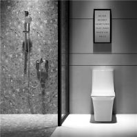 箭牌卫浴：爆冷！这些厕所冷知识你知道吗？