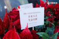 匠心传承，智统未来：统帅装饰立足品质服务迈入发展新蓝海