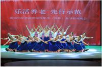 2020深圳“乐活养老 先行示范”老年春晚隆重上演