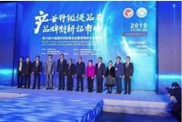 二十五届羽博会见证26年柳桥辉煌 三品战略续写新篇章