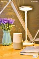 将卧室搬到书店！海将卧室搬到书店！